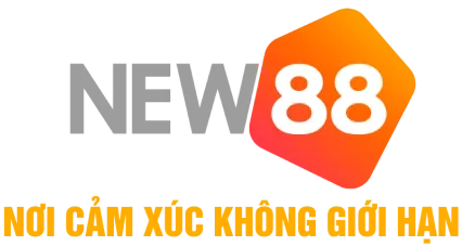 nnnew88.com