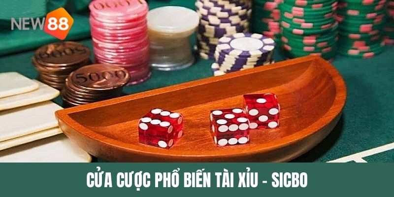 Mẹo chơi Tài Xỉu Sicbo bất bại 